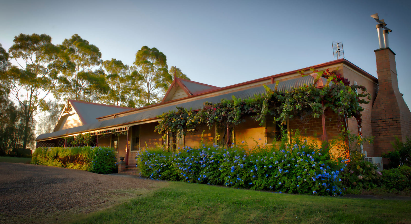 Saltire Estate Partners with Bluebush Estate for Exclusive Lovedale Wine Experiences