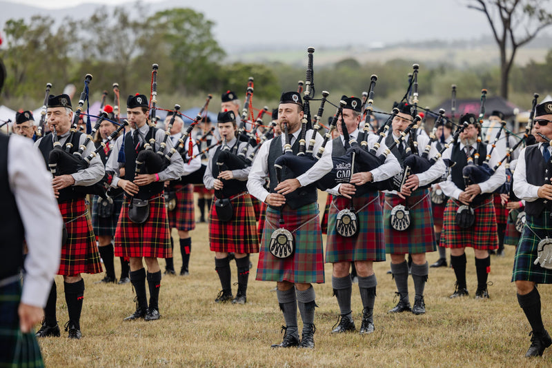 Soundscape of the Vines: Experience the Pipes in Our All-New 2026 Layout
