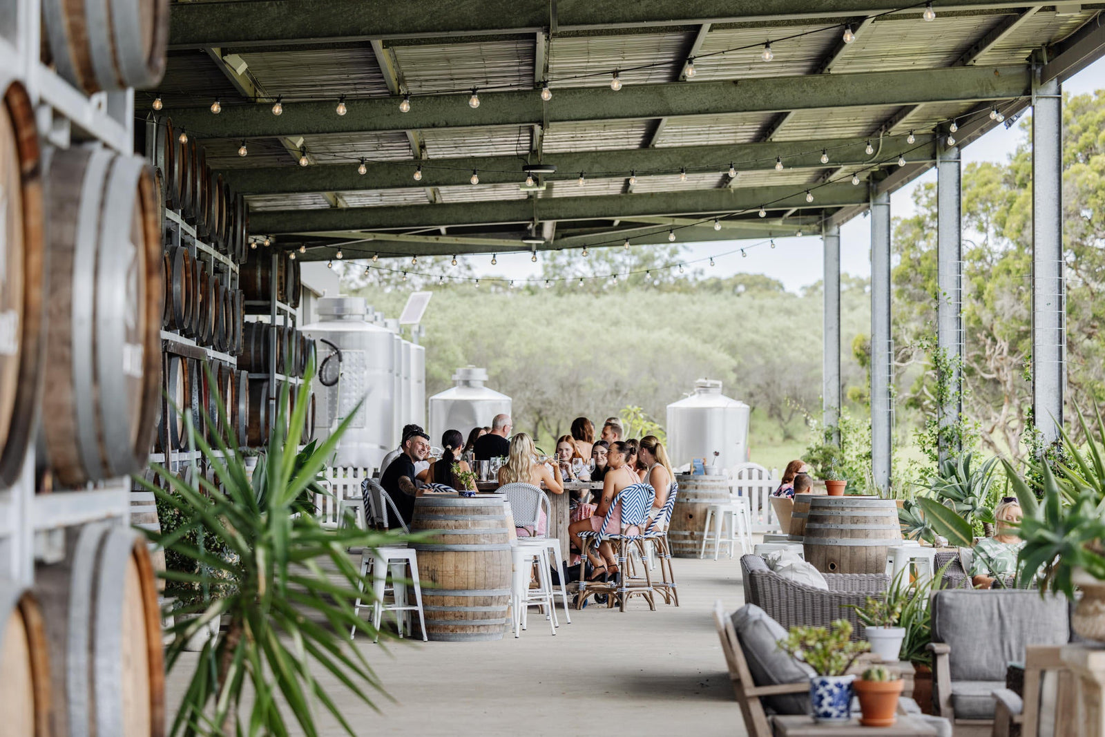 The Best Seasons to Visit Hunter Valley Wineries