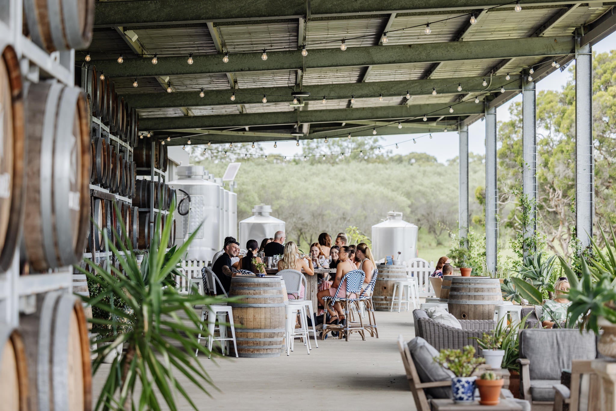 The Best Seasons to Visit Hunter Valley Wineries