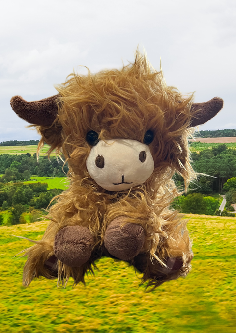Highland Cow Plush Toy